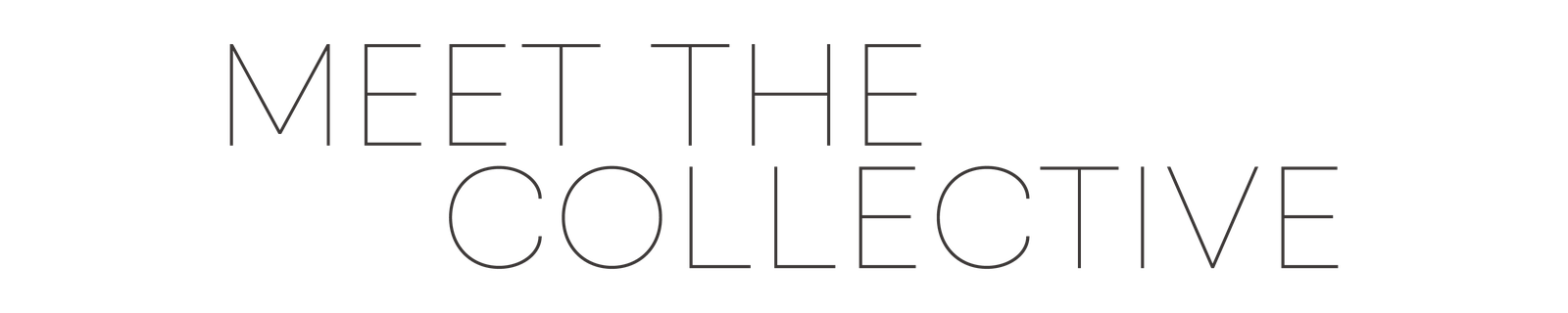 Meet The Collective