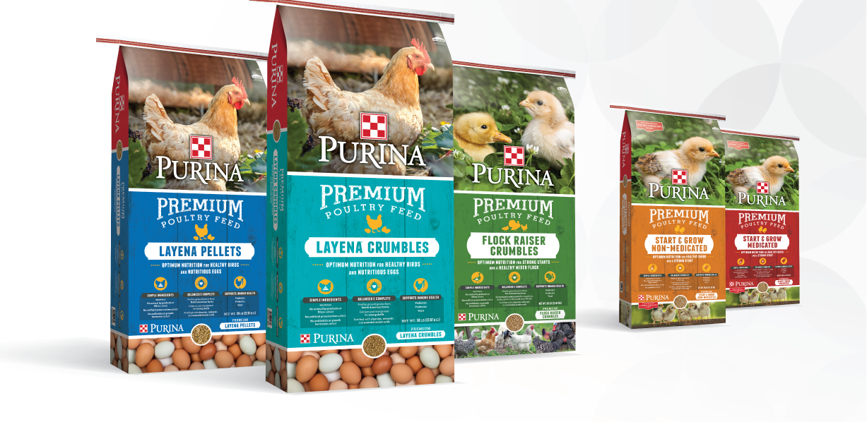 Layena Poultry Feed